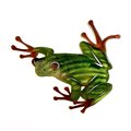 Next Innovations Tree Frog Metal Wall Art 101410022-TREEFROG